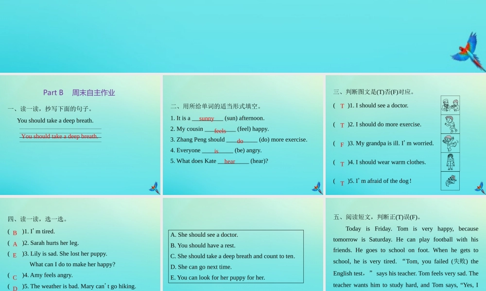 六年级英语上册 Unit 6 How do you feel Part B周末自主作业练习课件 人教PEP版-人教PEP小学六年级上册英语课件