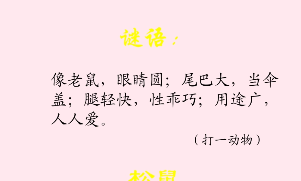 六年级语文上册 第17课《松鼠》课件1 沪教版-沪教版小学六年级上册语文课件