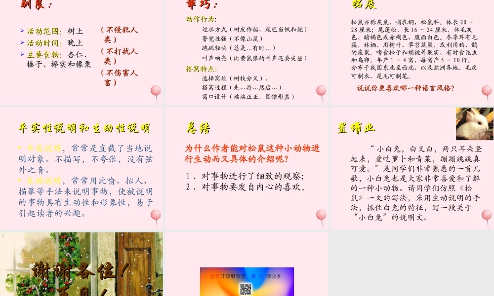 六年级语文上册 第17课《松鼠》课件1 沪教版-沪教版小学六年级上册语文课件