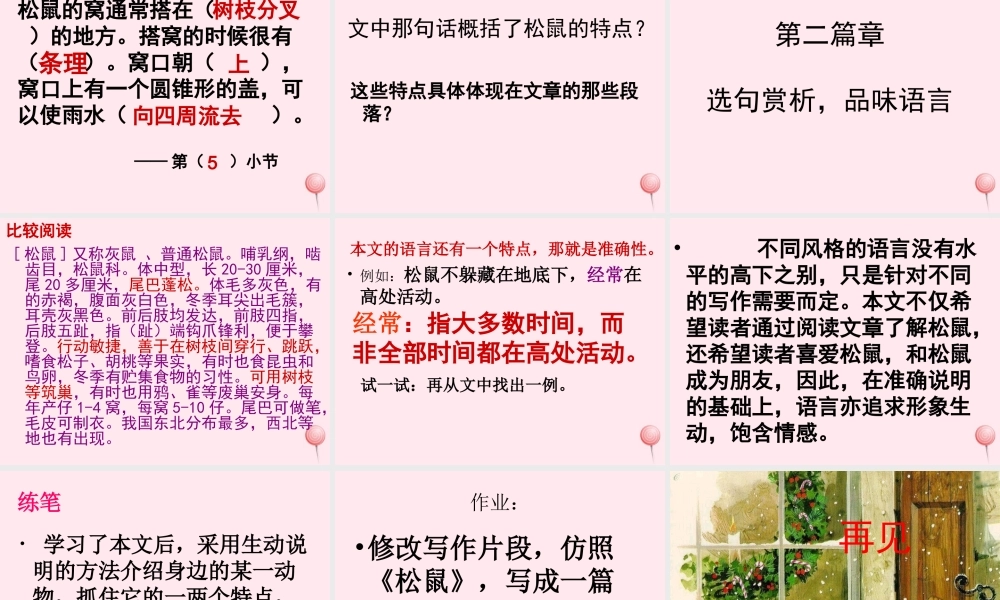 六年级语文上册 第17课《松鼠》课件2 沪教版-沪教版小学六年级上册语文课件