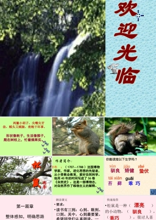 六年级语文上册 第17课《松鼠》课件2 沪教版-沪教版小学六年级上册语文课件