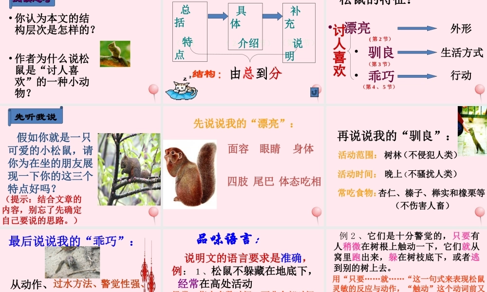 六年级语文上册 第17课《松鼠》课件3 沪教版-沪教版小学六年级上册语文课件