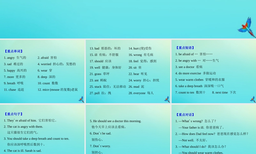 六年级英语上册 Unit 6 How do you feel知识梳理练习课件 人教PEP版-人教PEP小学六年级上册英语课件