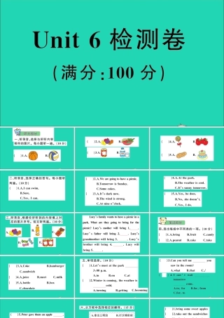 六年级英语上册 Unit 6 I will bring a big bottle of orange juice检测课件+素材 湘少版