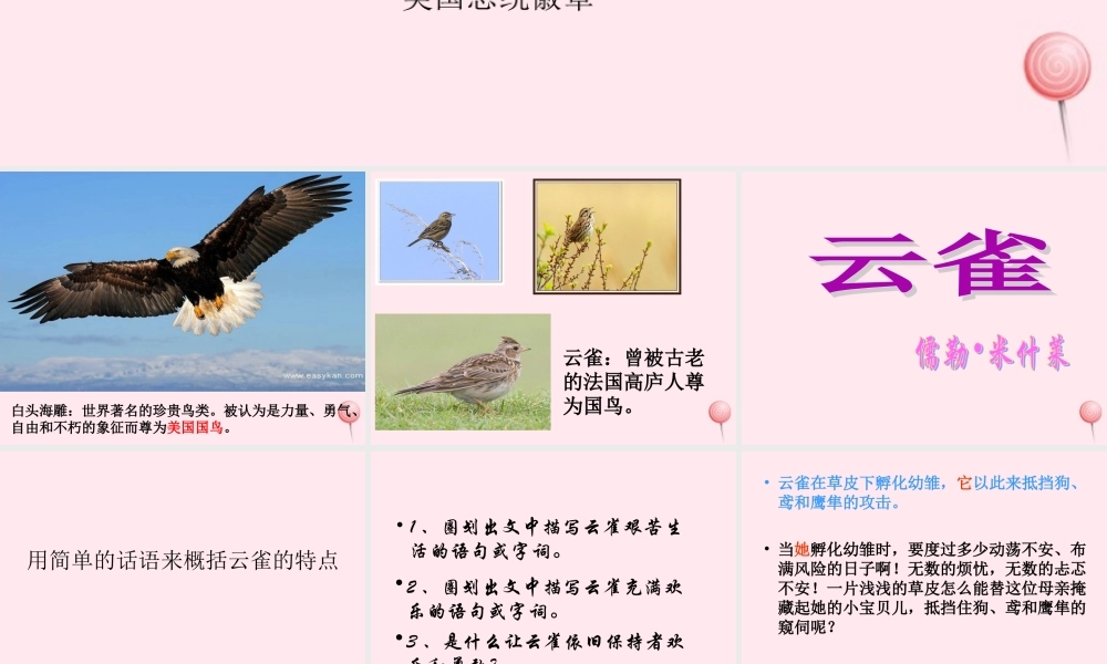 六年级语文上册 第18课《云雀》课件1 沪教版-沪教版小学六年级上册语文课件