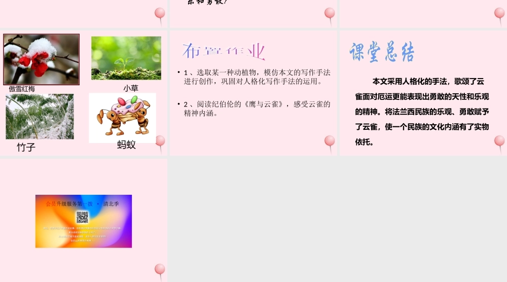 六年级语文上册 第18课《云雀》课件1 沪教版-沪教版小学六年级上册语文课件