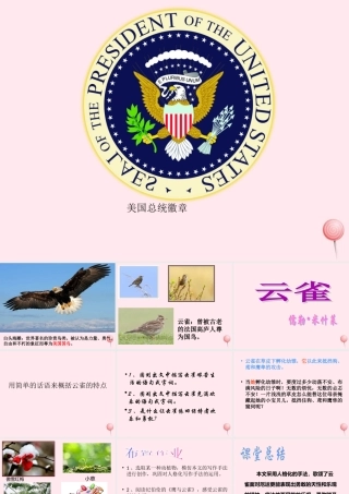 六年级语文上册 第18课《云雀》课件1 沪教版-沪教版小学六年级上册语文课件