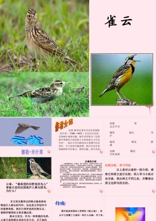 六年级语文上册 第18课《云雀》课件2 沪教版-沪教版小学六年级上册语文课件