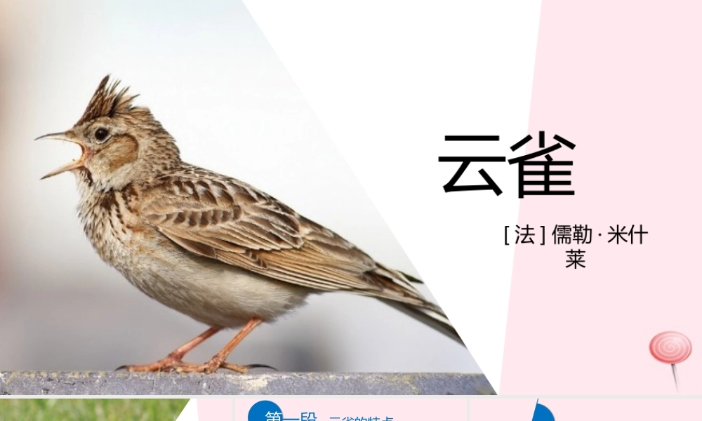 六年级语文上册 第18课《云雀》课件3 沪教版-沪教版小学六年级上册语文课件
