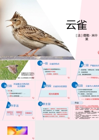 六年级语文上册 第18课《云雀》课件3 沪教版-沪教版小学六年级上册语文课件
