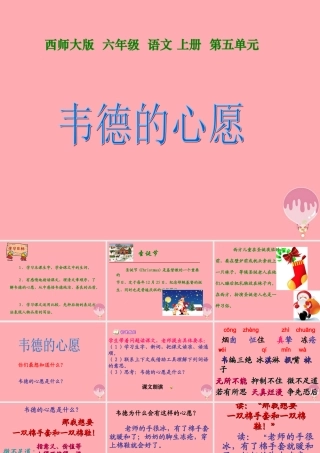六年级语文上册 第19课 韦德的心愿课件3 西师大版-西师大版小学六年级上册语文课件