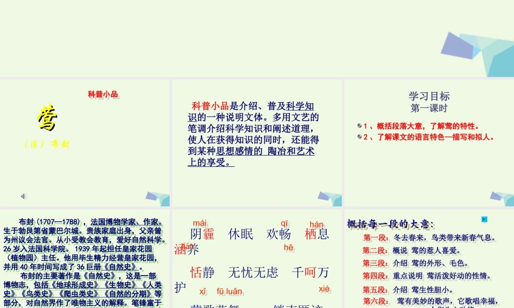 六年级语文上册 第19课 莺课件1 鲁教版-鲁教版小学六年级上册语文课件