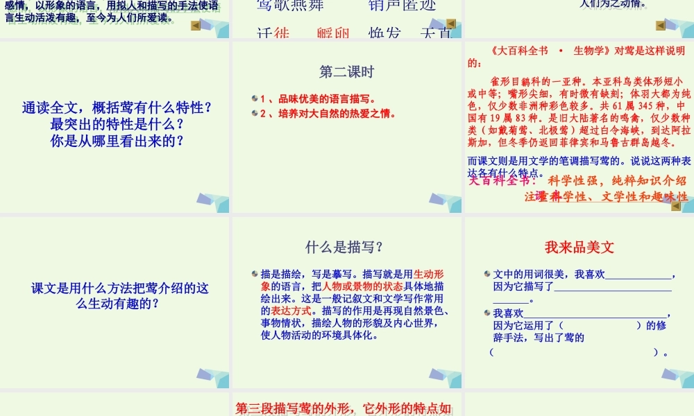 六年级语文上册 第19课 莺课件1 鲁教版-鲁教版小学六年级上册语文课件