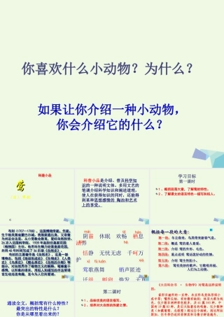 六年级语文上册 第19课 莺课件1 鲁教版-鲁教版小学六年级上册语文课件