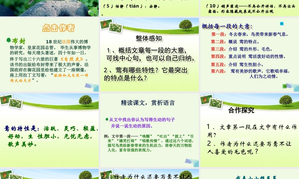 六年级语文上册 第19课 莺课件2 鲁教版-鲁教版小学六年级上册语文课件