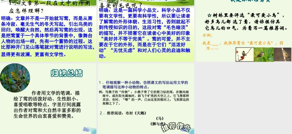 六年级语文上册 第19课 莺课件2 鲁教版-鲁教版小学六年级上册语文课件