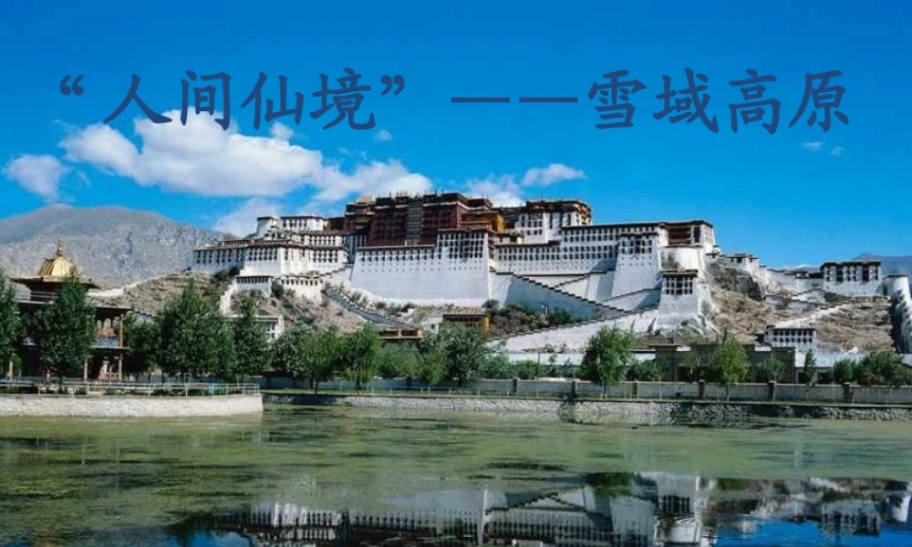 六年级语文上册 第19课《藏羚羊跪拜》课件3 沪教版-沪教版小学六年级上册语文课件