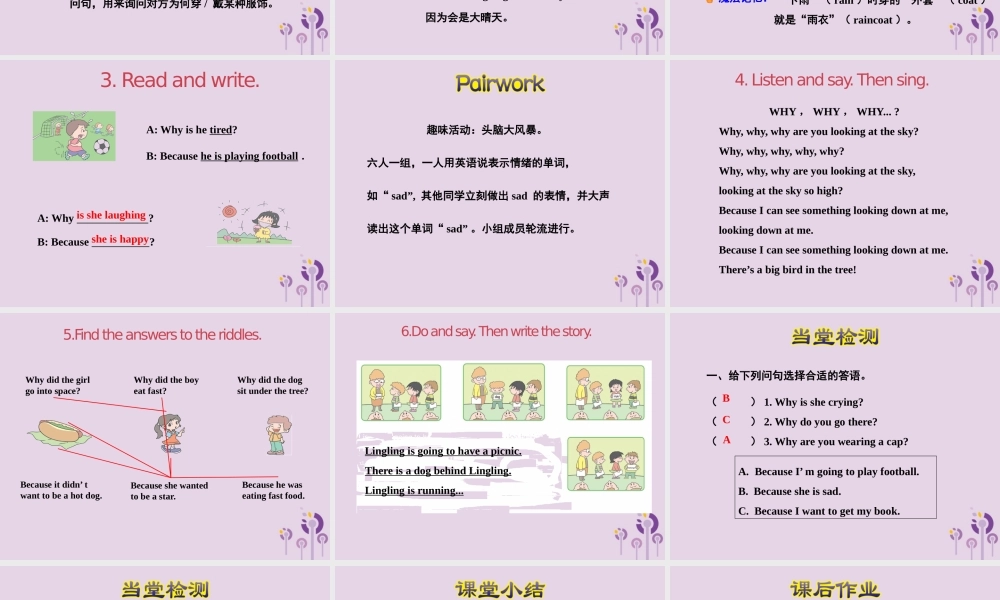 六年级英语下册 Module 8 Unit 2 Why are you wearing a hat课件 外研版（三起）-外研版小学六年级下册英语课件