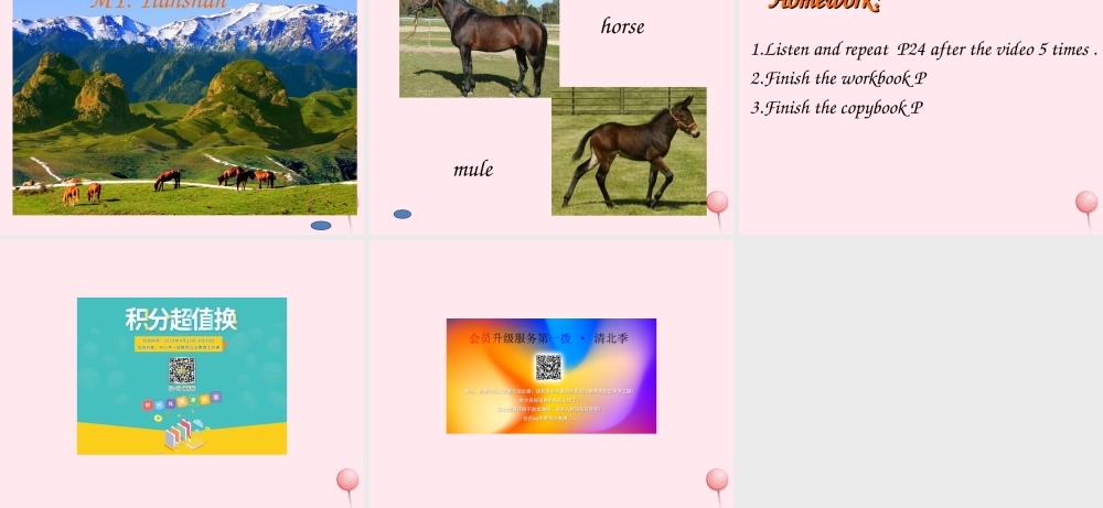 六年级英语下册 Unit 3 Where did you go A lets talk课件1 人教PEP版-人教PEP小学六年级下册英语课件