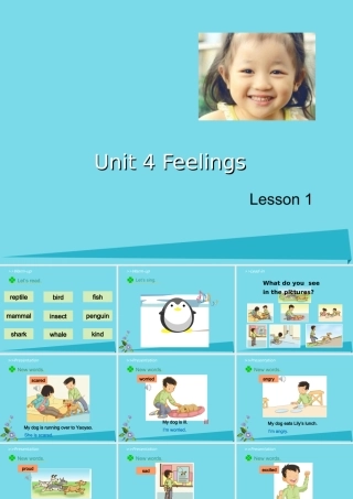 六年级英语上册 Unit 4 Feelings（Lesson 1）课件 人教新起点-人教新起点小学六年级上册英语课件