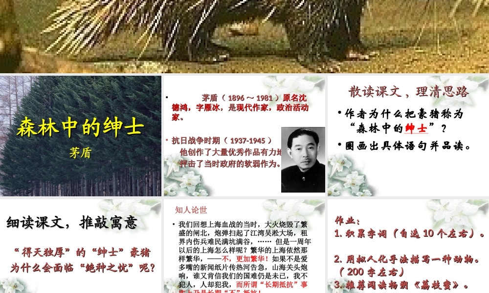 六年级语文上册 第20课《森林中的绅士》课件1 沪教版-沪教版小学六年级上册语文课件