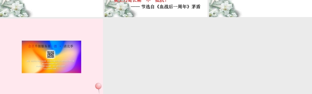 六年级语文上册 第20课《森林中的绅士》课件1 沪教版-沪教版小学六年级上册语文课件