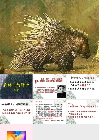 六年级语文上册 第20课《森林中的绅士》课件1 沪教版-沪教版小学六年级上册语文课件