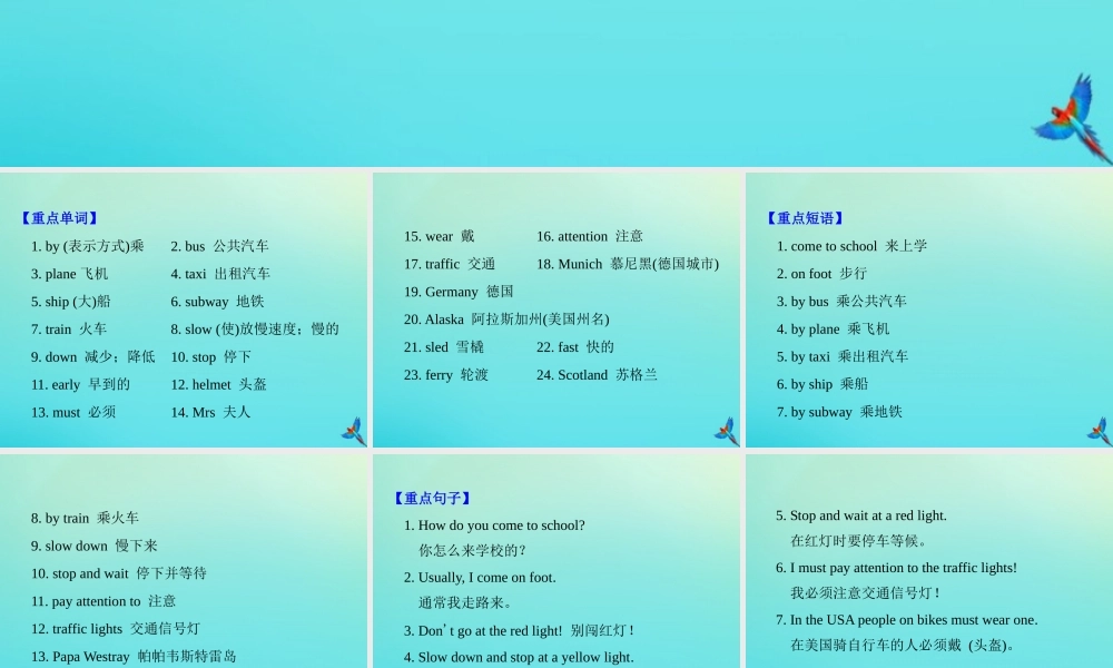 六年级英语上册 Unit 2 Ways to go to school知识梳理练习课件 人教PEP版-人教PEP小学六年级上册英语课件