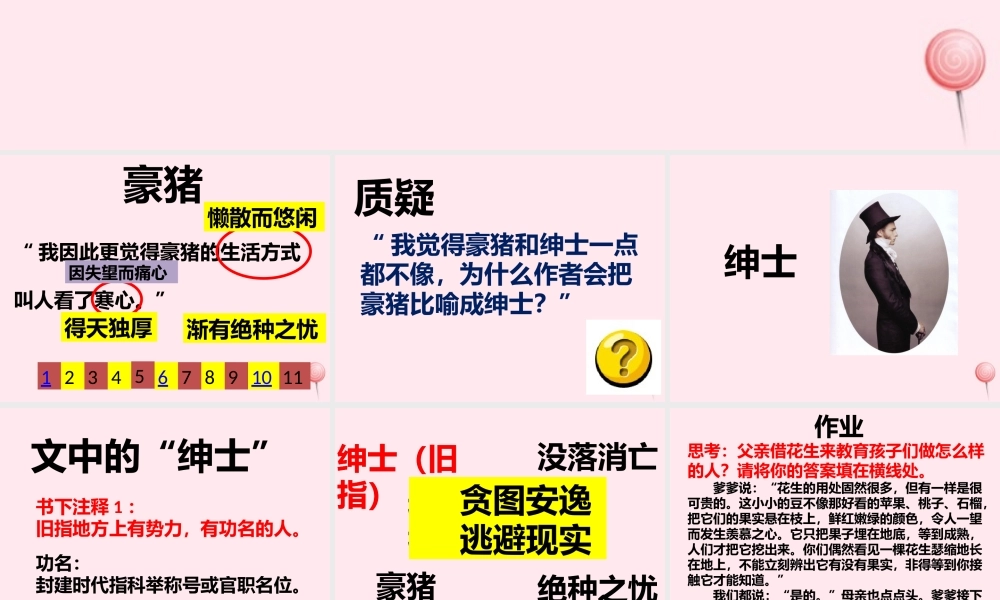 六年级语文上册 第20课《森林中的绅士》课件2 沪教版-沪教版小学六年级上册语文课件