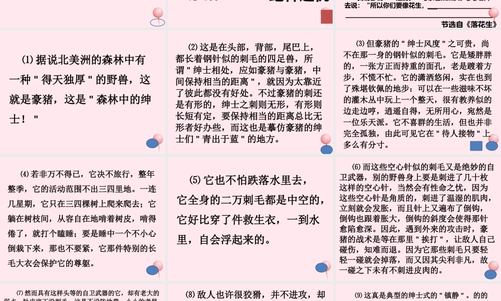 六年级语文上册 第20课《森林中的绅士》课件2 沪教版-沪教版小学六年级上册语文课件