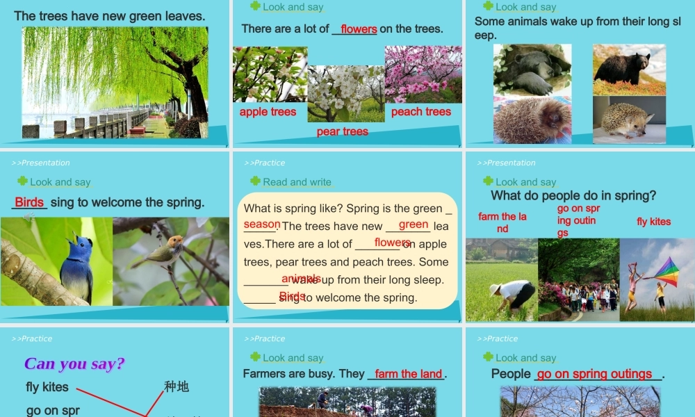 六年级英语上册 Unit 6 There are four seasons in a year（Lesson 31）教学课件 人教精通版-人教版小学六年级上册英语课件