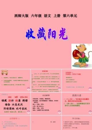 六年级语文上册 第22课 收藏阳光课件1 西师大版-西师大版小学六年级上册语文课件