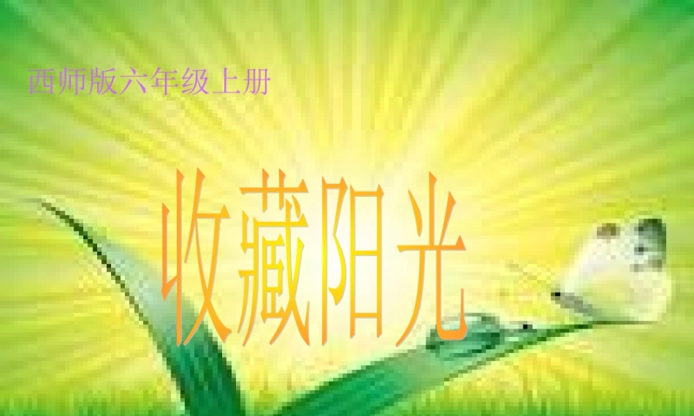 六年级语文上册 第22课 收藏阳光课件2 西师大版-西师大版小学六年级上册语文课件