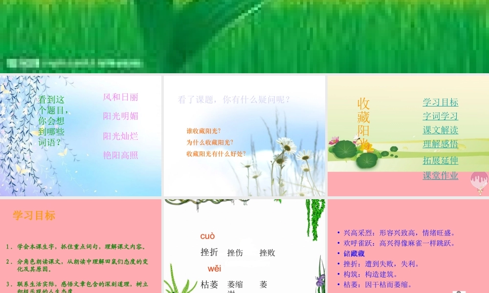 六年级语文上册 第22课 收藏阳光课件2 西师大版-西师大版小学六年级上册语文课件