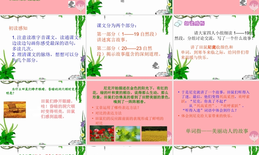 六年级语文上册 第22课 收藏阳光课件2 西师大版-西师大版小学六年级上册语文课件