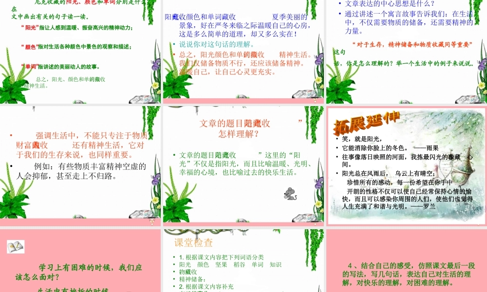 六年级语文上册 第22课 收藏阳光课件2 西师大版-西师大版小学六年级上册语文课件