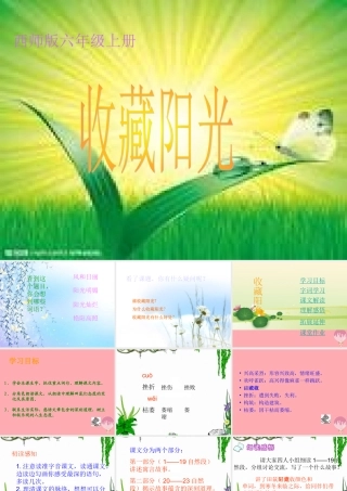 六年级语文上册 第22课 收藏阳光课件2 西师大版-西师大版小学六年级上册语文课件