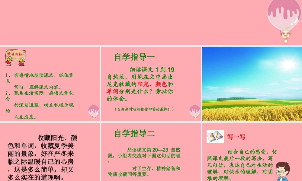 六年级语文上册 第22课 收藏阳光课件3 西师大版-西师大版小学六年级上册语文课件
