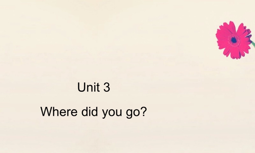 六年级英语下册 Unit 3 Where did you go Part A周末自主作业习题课件 人教PEP版-人教PEP小学六年级下册英语课件
