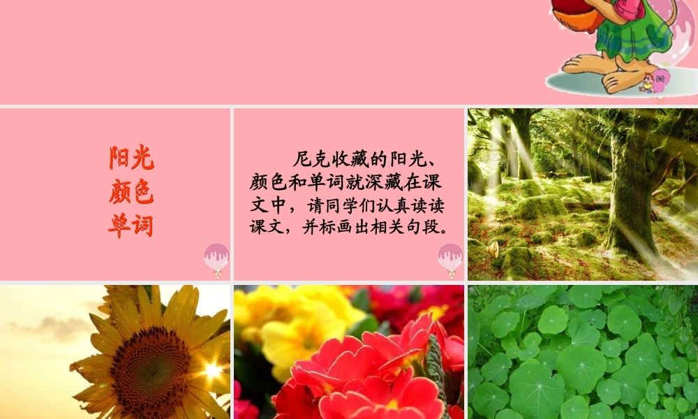 六年级语文上册 第22课 收藏阳光课件4 西师大版-西师大版小学六年级上册语文课件
