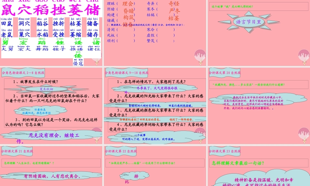 六年级语文上册 第22课 收藏阳光课件4 西师大版-西师大版小学六年级上册语文课件