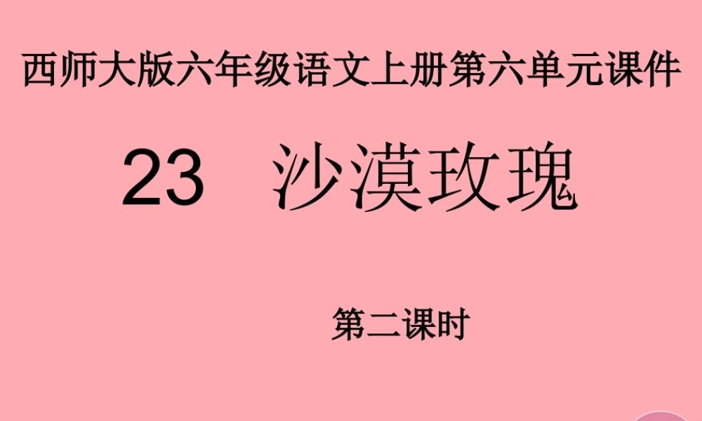 六年级语文上册 第23课 沙漠玫瑰课件3 西师大版-西师大版小学六年级上册语文课件