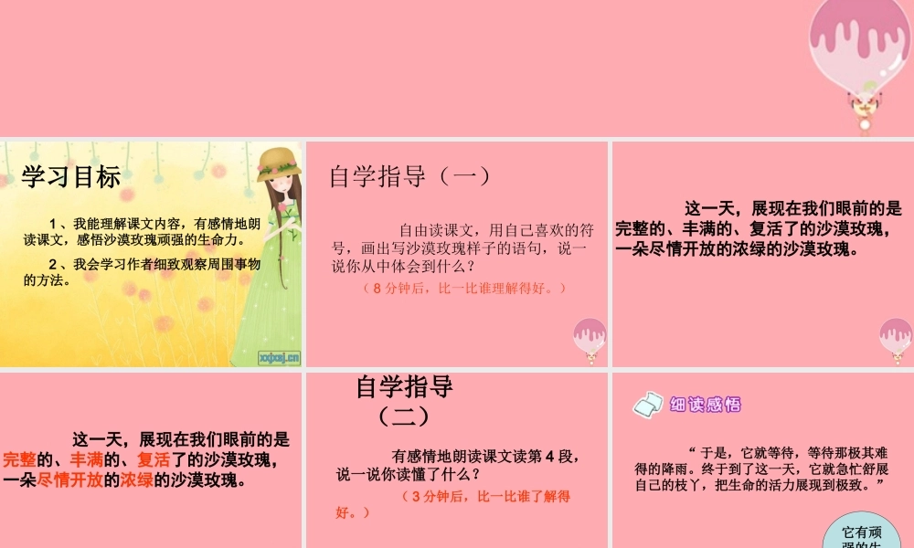 六年级语文上册 第23课 沙漠玫瑰课件3 西师大版-西师大版小学六年级上册语文课件