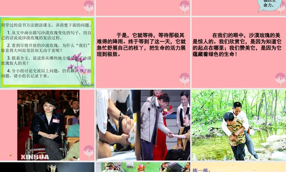 六年级语文上册 第23课 沙漠玫瑰课件3 西师大版-西师大版小学六年级上册语文课件