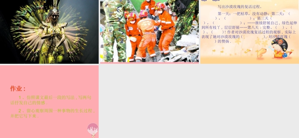 六年级语文上册 第23课 沙漠玫瑰课件3 西师大版-西师大版小学六年级上册语文课件