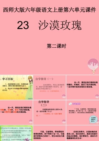 六年级语文上册 第23课 沙漠玫瑰课件3 西师大版-西师大版小学六年级上册语文课件