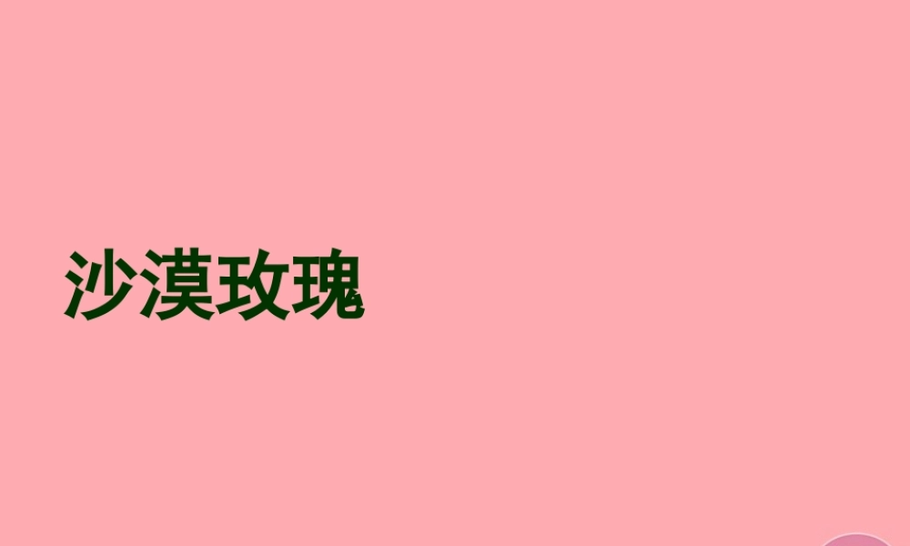 六年级语文上册 第23课 沙漠玫瑰课件4 西师大版-西师大版小学六年级上册语文课件