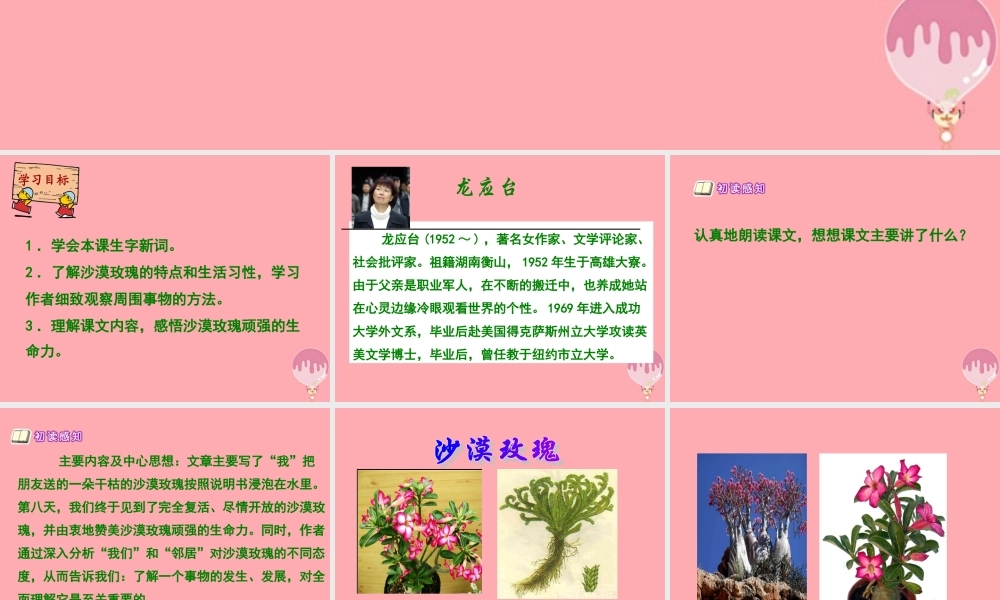 六年级语文上册 第23课 沙漠玫瑰课件4 西师大版-西师大版小学六年级上册语文课件