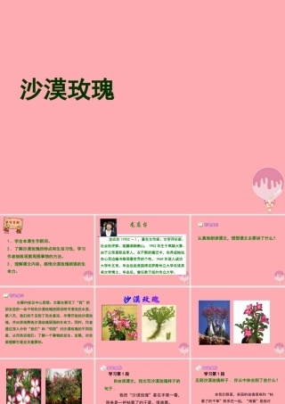 六年级语文上册 第23课 沙漠玫瑰课件4 西师大版-西师大版小学六年级上册语文课件