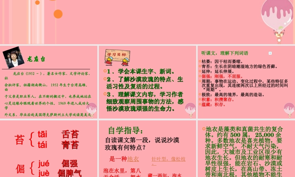 六年级语文上册 第23课 沙漠玫瑰课件5 西师大版-西师大版小学六年级上册语文课件